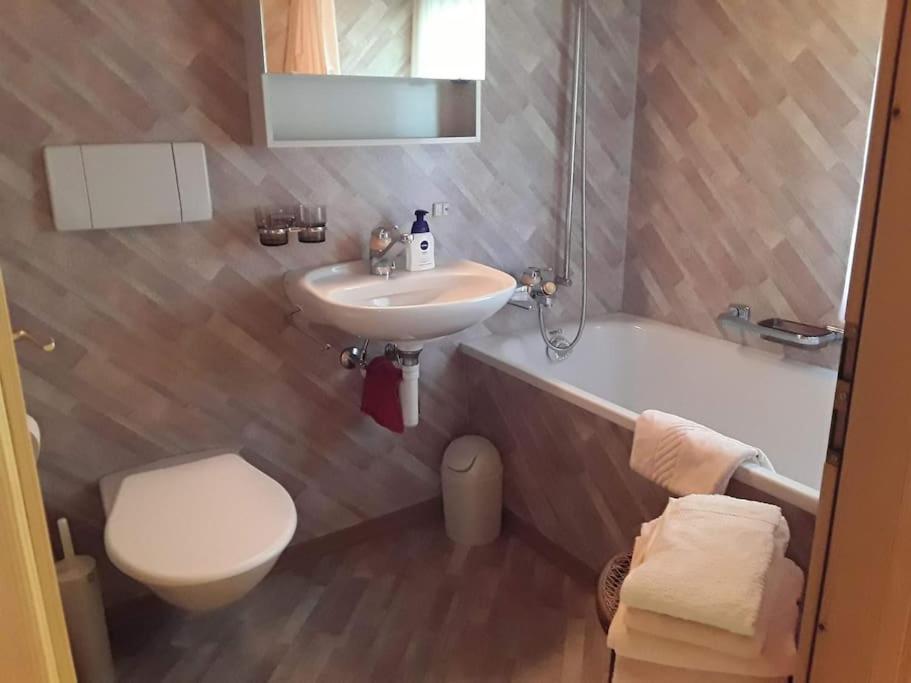 Zwinglis Ferienwohnung Rosi Nesslau Экстерьер фото